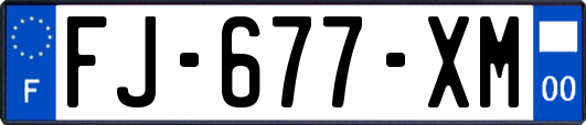FJ-677-XM