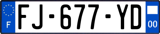 FJ-677-YD