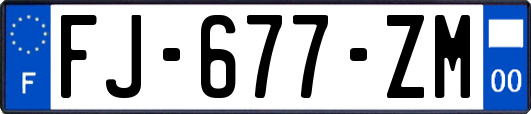 FJ-677-ZM