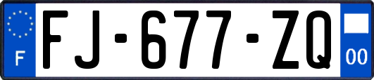 FJ-677-ZQ