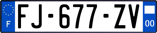 FJ-677-ZV