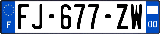 FJ-677-ZW