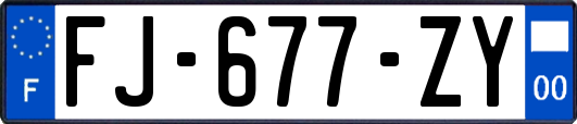 FJ-677-ZY