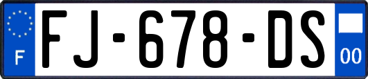 FJ-678-DS