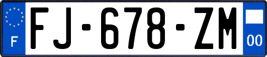 FJ-678-ZM