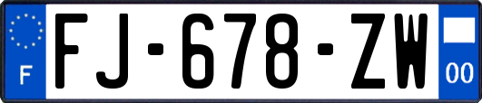 FJ-678-ZW