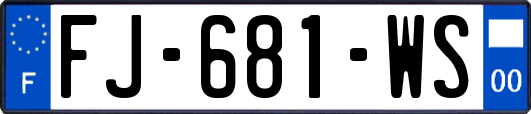 FJ-681-WS