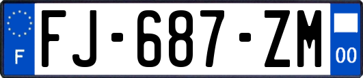 FJ-687-ZM