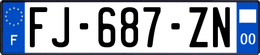 FJ-687-ZN