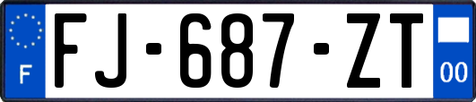 FJ-687-ZT