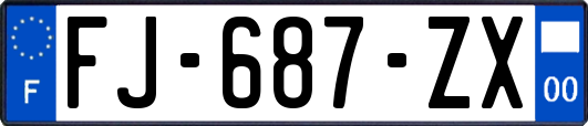 FJ-687-ZX