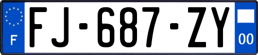 FJ-687-ZY