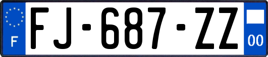 FJ-687-ZZ