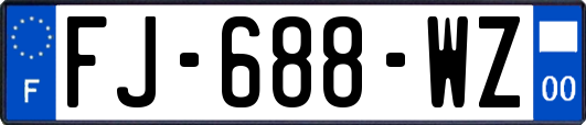 FJ-688-WZ