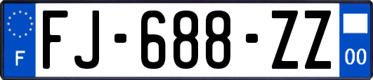 FJ-688-ZZ