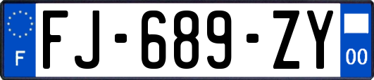 FJ-689-ZY