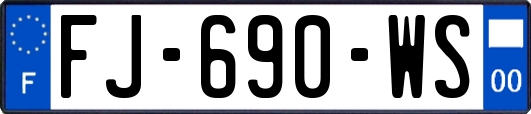 FJ-690-WS