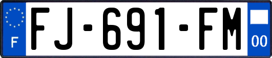 FJ-691-FM