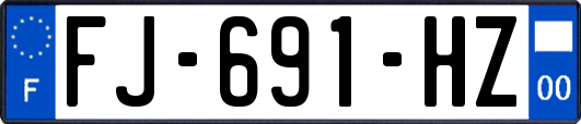 FJ-691-HZ