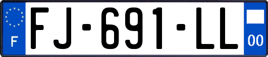 FJ-691-LL