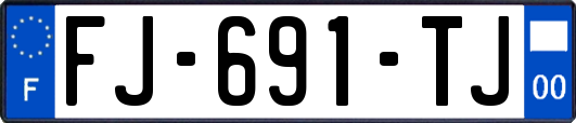 FJ-691-TJ