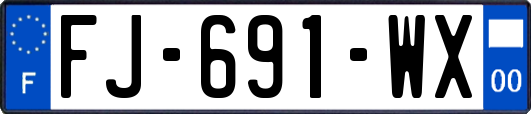 FJ-691-WX