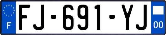 FJ-691-YJ