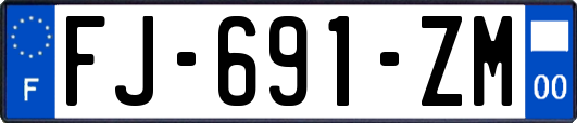 FJ-691-ZM