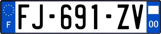 FJ-691-ZV