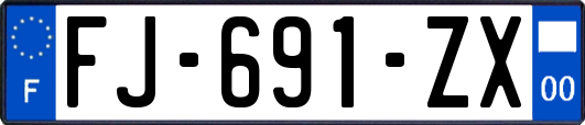 FJ-691-ZX