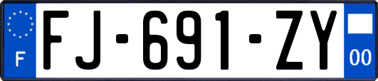 FJ-691-ZY