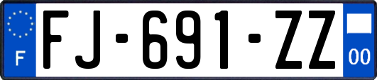 FJ-691-ZZ