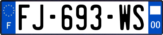 FJ-693-WS