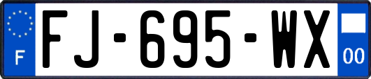 FJ-695-WX