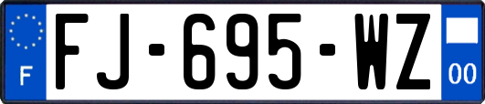 FJ-695-WZ