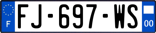 FJ-697-WS