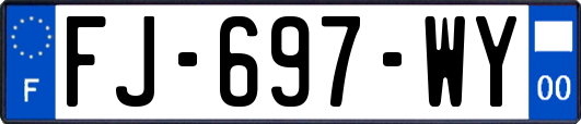 FJ-697-WY