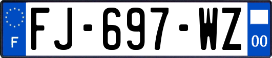 FJ-697-WZ