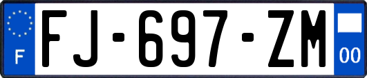 FJ-697-ZM