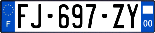 FJ-697-ZY