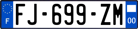 FJ-699-ZM
