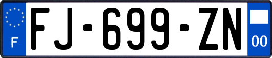 FJ-699-ZN