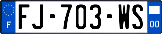 FJ-703-WS