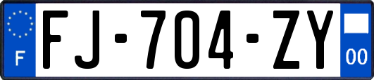 FJ-704-ZY