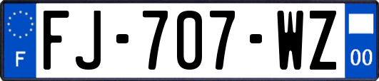 FJ-707-WZ