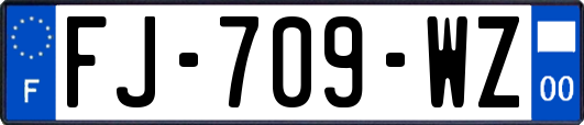 FJ-709-WZ