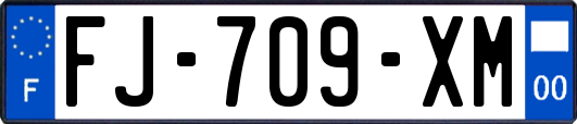 FJ-709-XM