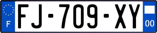 FJ-709-XY