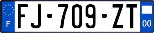 FJ-709-ZT