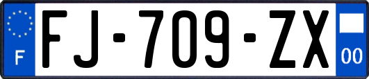 FJ-709-ZX